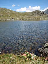 Горный Алтай : Активный тур  к Белухе :   Черное озеро