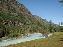 Горный Алтай : Конный поход к Белухе :  р. Кучерла