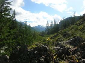 Отдых на Алтае : Отчеты : Поход «Озеро Каракабак - озеро Левое Шавлинское - река Юнгур - Шавлинские озера»