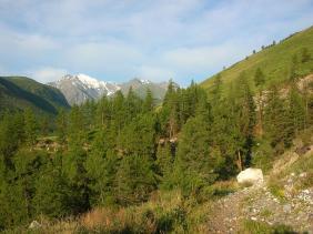 Отдых на Алтае : Отчеты : Поход «Озеро Каракабак - озеро Левое Шавлинское - река Юнгур - Шавлинские озера»