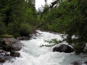 Отдых на Алтае : Отчеты : Поход «Озеро Каракабак - озеро Левое Шавлинское - река Юнгур - Шавлинские озера»