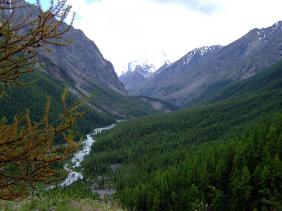 Отдых на Алтае : Отчеты : Поход «Озеро Каракабак - озеро Левое Шавлинское - река Юнгур - Шавлинские озера»