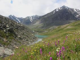 Отдых на Алтае : Отчеты : Поход «Озеро Каракабак - озеро Левое Шавлинское - река Юнгур - Шавлинские озера»