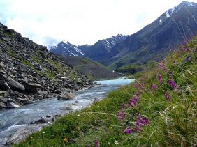 Отдых на Алтае : Отчеты : Поход «Озеро Каракабак - озеро Левое Шавлинское - река Юнгур - Шавлинские озера»
