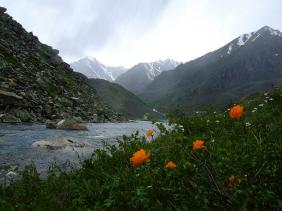 Отдых на Алтае : Отчеты : Поход «Озеро Каракабак - озеро Левое Шавлинское - река Юнгур - Шавлинские озера»