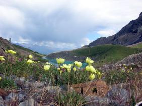 Отдых на Алтае : Отчеты : Поход «Озеро Каракабак - озеро Левое Шавлинское - река Юнгур - Шавлинские озера»