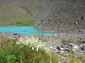Отдых на Алтае : Отчеты : Поход «Озеро Каракабак - озеро Левое Шавлинское - река Юнгур - Шавлинские озера»