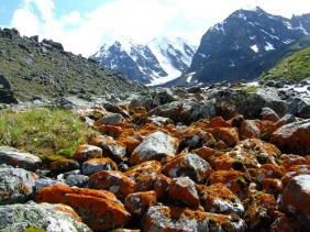 Отдых на Алтае : Отчеты : Поход «Озеро Каракабак - озеро Левое Шавлинское - река Юнгур - Шавлинские озера»