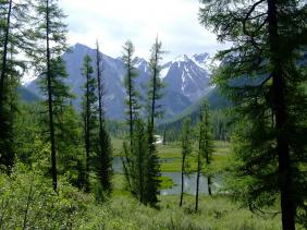 Отдых на Алтае : Отчеты : Поход «Озеро Каракабак - озеро Левое Шавлинское - река Юнгур - Шавлинские озера»