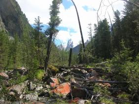 Отдых на Алтае : Отчеты : Поход «Озеро Каракабак - озеро Левое Шавлинское - река Юнгур - Шавлинские озера»