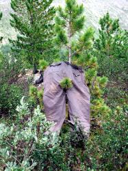 Отдых на Алтае : Отчеты : Поход «Озеро Каракабак - озеро Левое Шавлинское - река Юнгур - Шавлинские озера»