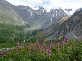 Отдых на Алтае : Отчеты : Поход «Озеро Каракабак - озеро Левое Шавлинское - река Юнгур - Шавлинские озера»