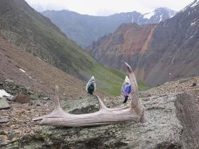 Отдых на Алтае : Отчеты : Поход «Озеро Каракабак - озеро Левое Шавлинское - река Юнгур - Шавлинские озера»