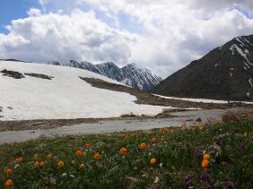 Отдых на Алтае : Отчеты : Поход «Озеро Каракабак - озеро Левое Шавлинское - река Юнгур - Шавлинские озера»