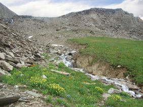 Отдых на Алтае : Отчеты : Поход «Озеро Каракабак - озеро Левое Шавлинское - река Юнгур - Шавлинские озера»