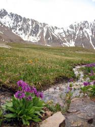 Отдых на Алтае : Отчеты : Поход «Озеро Каракабак - озеро Левое Шавлинское - река Юнгур - Шавлинские озера»