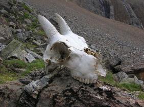 Отдых на Алтае : Отчеты : Поход «Озеро Каракабак - озеро Левое Шавлинское - река Юнгур - Шавлинские озера»