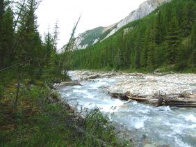 Отдых на Алтае : Отчеты : Поход «Озеро Каракабак - озеро Левое Шавлинское - река Юнгур - Шавлинские озера»