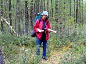 Отдых на Алтае : Отчеты : Поход «Озеро Каракабак - озеро Левое Шавлинское - река Юнгур - Шавлинские озера»