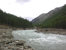 Отдых на Алтае : Отчеты : Поход «Озеро Каракабак - озеро Левое Шавлинское - река Юнгур - Шавлинские озера»