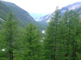 Отдых на Алтае : Отчеты : Поход «Озеро Каракабак - озеро Левое Шавлинское - река Юнгур - Шавлинские озера»