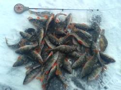 Горный Алтай : Теплое озеро Уткуль Алтайский край : Рыбалка на озере Уткуль