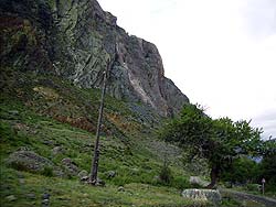 Горный Алтай : Алтаеведение : Живописная дорога к устью Чульчи