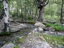 Горный Алтай : Алтаеведение : Речка Карасу