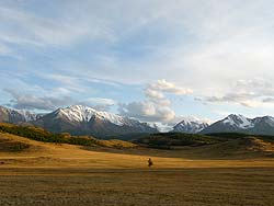 Горный Алтай : Алтаеведение : Курайская степь на фоне Северо-Чуйского хребта