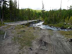 Горный Алтай : Алтаеведение : Актру в 100м от Перевалки