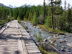 Горный Алтай : Алтаеведение : Мост, увы, только для пешеходов