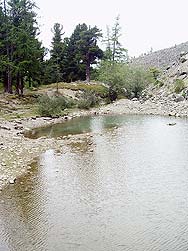 Горный Алтай : Алтаеведение : Озеро Сачки