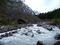 Горный Алтай : Алтаеведение : Молочная река