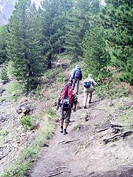 Горный Алтай : Алтаеведение : К  Б. Актру и Голубому озеру. Начало пути