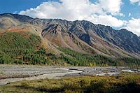 Горный Алтай : Путешествие в ущелье Актру (август 2007) : Долина реки Актру