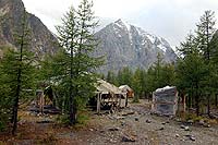 Горный Алтай : Путешествие в ущелье Актру (август 2007) : Долина реки Актру.
