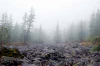Горный Алтай : Путешествие в ущелье Актру (август 2007) : Туман в долине Актру.
