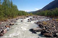 Горный Алтай : Путешествие в ущелье Актру (август 2007) : Река Актру