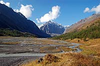 Горный Алтай : Путешествие в ущелье Актру (август 2007) : Долина реки Актру. Вдали стена Караташ.
