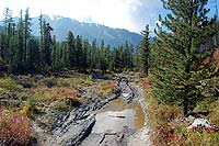 Горный Алтай : Путешествие в ущелье Актру (август 2007) : Дорога от перевалки к альплагерю Актру.