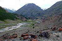 Горный Алтай : Долина реки Талдура в сторону ледника.