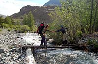 Горный Алтай : Ледники и озера Южно-Чуйского хребта (лето 2007) : Приток реки Талдура