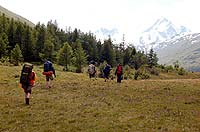 Горный Алтай : Ледники и озера Южно-Чуйского хребта (лето 2007) : Долина реки Талдура