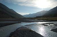 Горный Алтай : Ледники и озера Южно-Чуйского хребта (лето 2007) : Долина реки Талдура. В сторону Бельтира