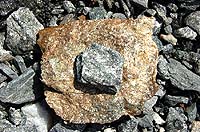 Горный Алтай : Ледники и озера Южно-Чуйского хребта (лето 2007) : Камни на Талдуринском леднике.