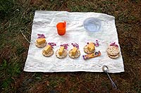 Горный Алтай : Ледники и озера Южно-Чуйского хребта (лето 2007) : Завтрак