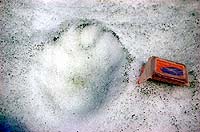 Горный Алтай : Ледники и озера Южно-Чуйского хребта (лето 2007) : Перевал Ленинградский 3300 м (1Б). Следы барса?