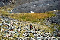 Горный Алтай : Ледники и озера Южно-Чуйского хребта (лето 2007) : Долина реки Тура-Оюк.