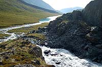Горный Алтай : Ледники и озера Южно-Чуйского хребта (лето 2007) : Река Тура-Оюк.