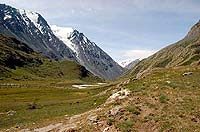 Горный Алтай : Ледники и озера Южно-Чуйского хребта (лето 2007) : Долина реки Аккол.